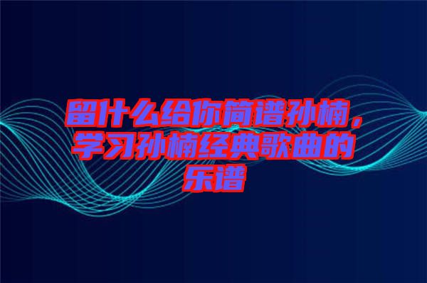 留什么給你簡(jiǎn)譜孫楠，學(xué)習(xí)孫楠經(jīng)典歌曲的樂(lè)譜