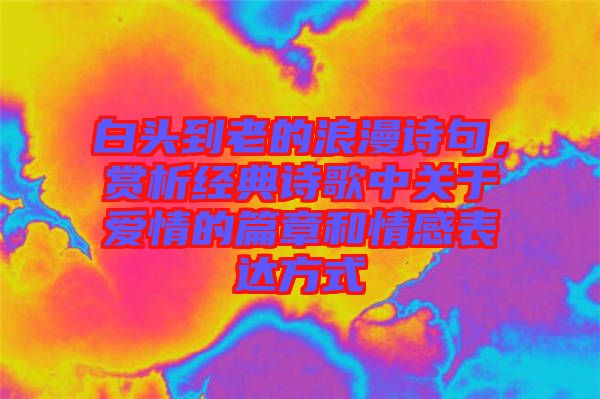 白頭到老的浪漫詩句，賞析經(jīng)典詩歌中關于愛情的篇章和情感表達方式