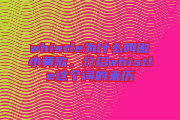 whistle為什么叫做小黃歌，介紹whistle這個詞的來歷