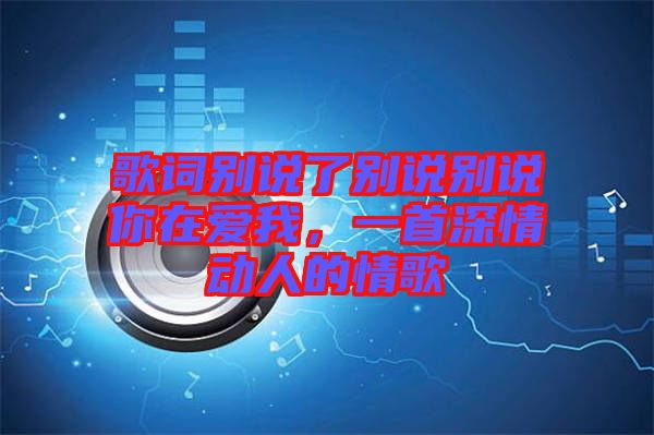 歌詞別說了別說別說你在愛我，一首深情動人的情歌