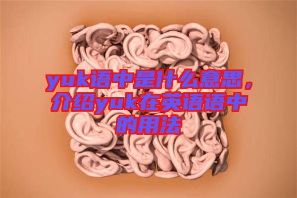 yuk語中是什么意思，介紹yuk在英語語中的用法