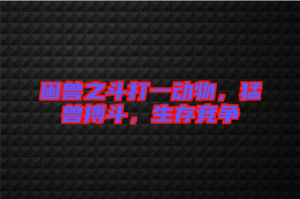 困獸之斗打一動物，猛獸搏斗，生存競爭