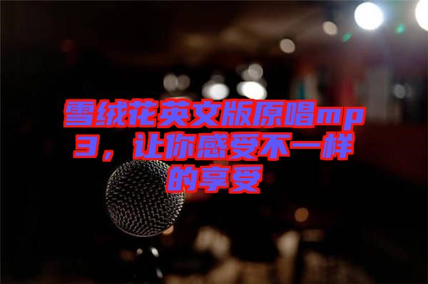 雪絨花英文版原唱mp3，讓你感受不一樣的享受