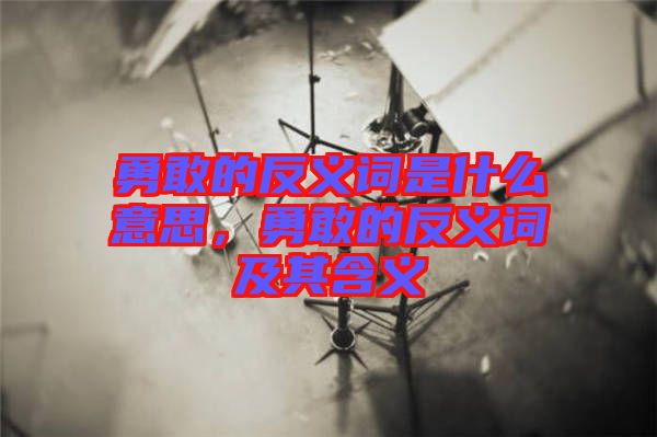 勇敢的反義詞是什么意思，勇敢的反義詞及其含義