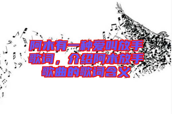 阿木有一種愛叫放手歌詞，介紹阿木放手歌曲的歌詞含義