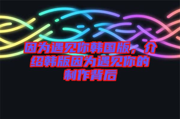 因?yàn)橛鲆娔沩n國(guó)版，介紹韓版因?yàn)橛鲆娔愕闹谱鞅澈? width=