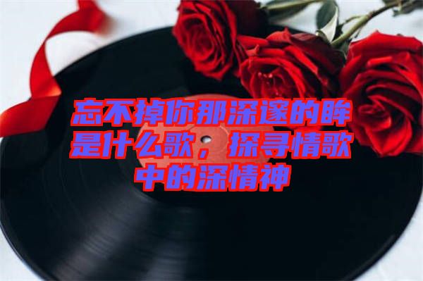 忘不掉你那深邃的眸是什么歌，探尋情歌中的深情神