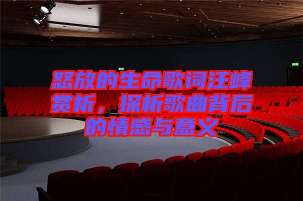 怒放的生命歌詞汪峰賞析，探析歌曲背后的情感與意義