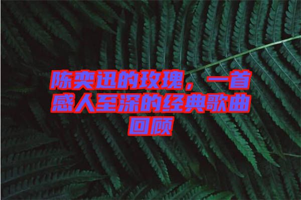 陳奕迅的玫瑰，一首感人至深的經(jīng)典歌曲回顧