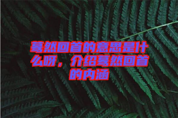 驀然回首的意思是什么呀，介紹驀然回首的內(nèi)涵