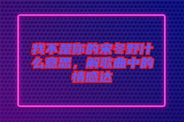 我不是你的宋冬野什么意思，解歌曲中的情感達(dá)