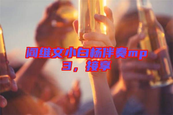 閻維文小白楊伴奏mp3，接享