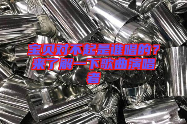 寶貝對(duì)不起是誰唱的？來了解一下歌曲演唱者