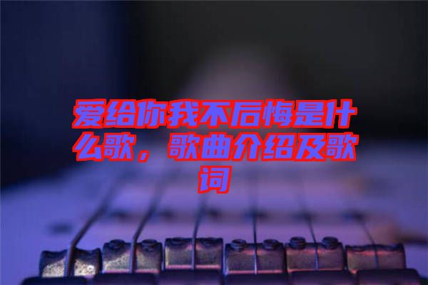 愛給你我不后悔是什么歌，歌曲介紹及歌詞