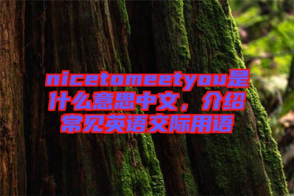 nicetomeetyou是什么意思中文，介紹常見英語交際用語