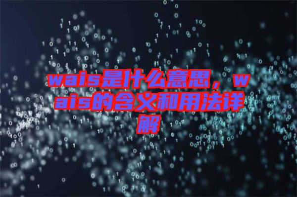 wais是什么意思，wais的含義和用法詳解