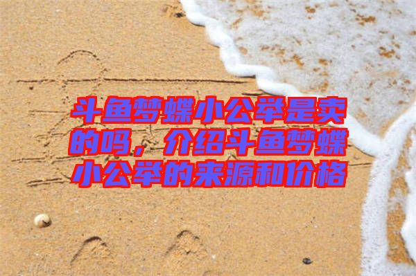 斗魚夢蝶小公舉是賣的嗎，介紹斗魚夢蝶小公舉的來源和價格