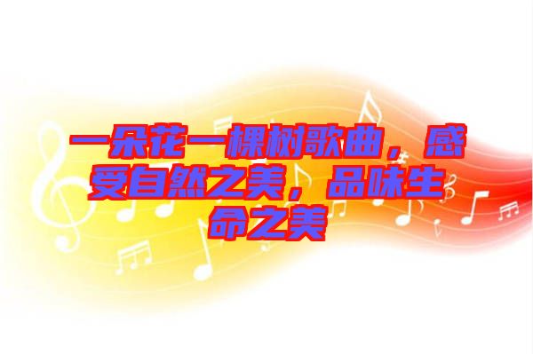 一朵花一棵樹歌曲，感受自然之美，品味生命之美