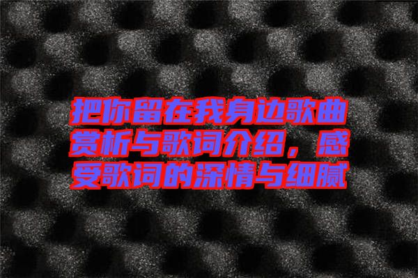 把你留在我身邊歌曲賞析與歌詞介紹，感受歌詞的深情與細(xì)膩