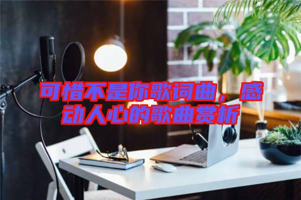 可惜不是你歌詞曲，感動(dòng)人心的歌曲賞析