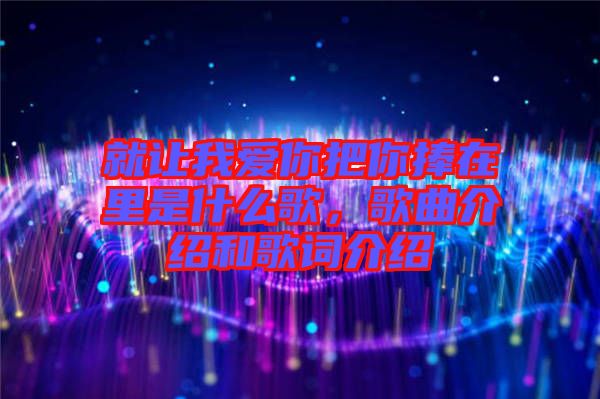 就讓我愛你把你捧在里是什么歌，歌曲介紹和歌詞介紹