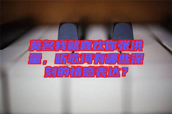 莫名我就喜歡你張洪量，聽(tīng)歌詞有哪些深刻的情感表達(dá)？