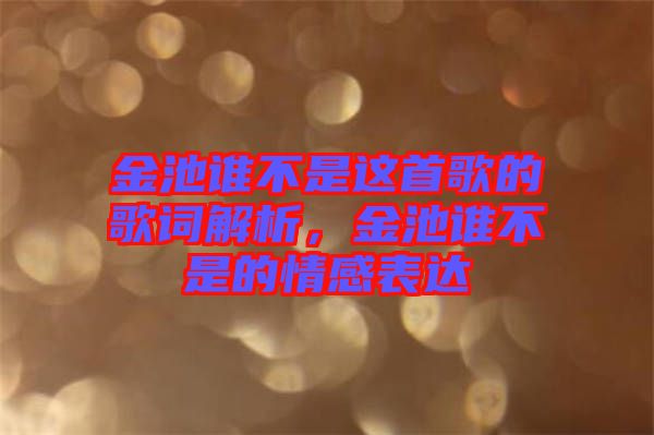 金池誰不是這首歌的歌詞解析，金池誰不是的情感表達