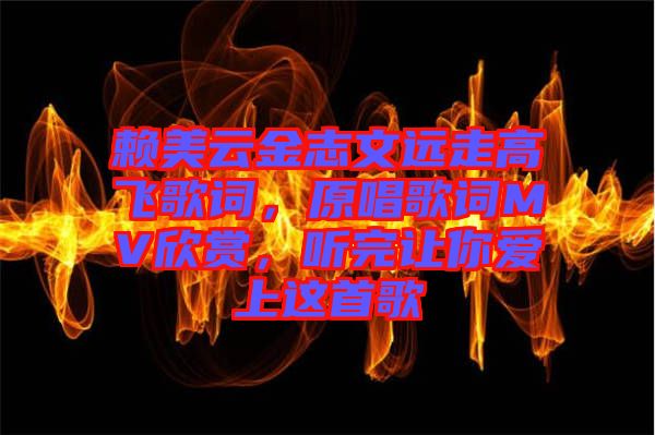 賴美云金志文遠(yuǎn)走高飛歌詞，原唱歌詞MV欣賞，聽(tīng)完讓你愛(ài)上這首歌