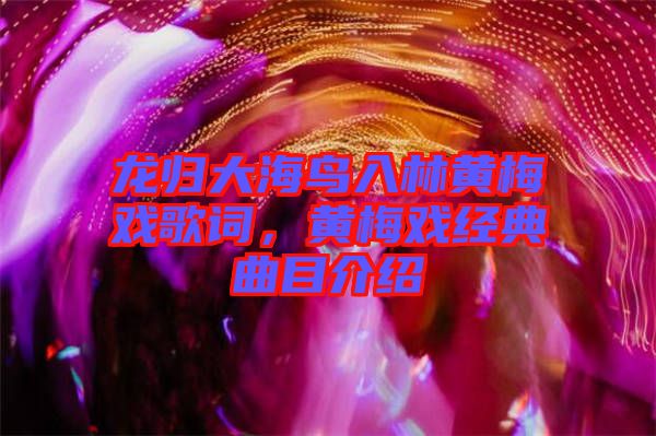 龍歸大海鳥(niǎo)入林黃梅戲歌詞，黃梅戲經(jīng)典曲目介紹