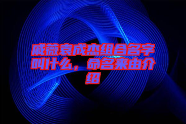 戚薇袁成杰組合名字叫什么，命名來由介紹