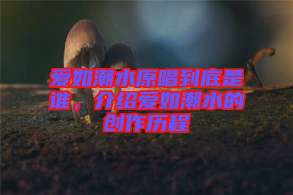 愛如潮水原唱到底是誰，介紹愛如潮水的創(chuàng)作歷程