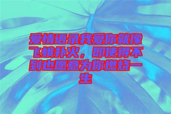 愛情語錄我愛你就像飛蛾撲火，即使得不到也愿意為你燃燒一生