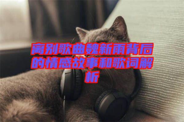 離別歌曲魏新雨背后的情感故事和歌詞解析