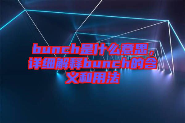 bunch是什么意思，詳細解釋bunch的含義和用法