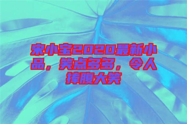 宋小寶2020最新小品，笑點(diǎn)多多，令人捧腹大笑