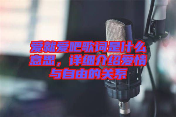 愛就愛吧歌詞是什么意思，詳細(xì)介紹愛情與自由的關(guān)系