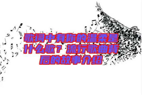 歌詞中有你的溫柔是什么歌？流行歌曲背后的故事介紹