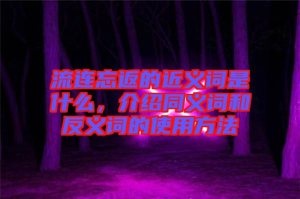 流連忘返的近義詞是什么，介紹同義詞和反義詞的使用方法