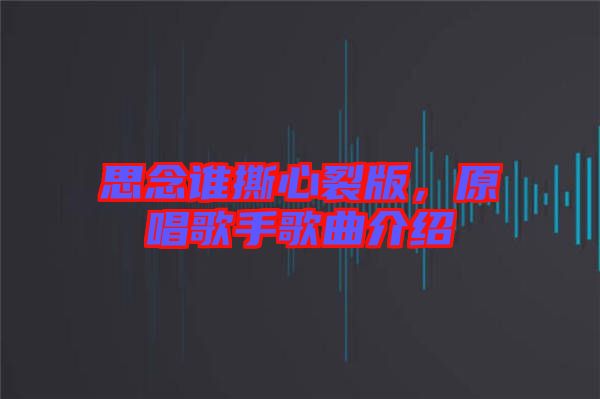 思念誰(shuí)撕心裂版，原唱歌手歌曲介紹