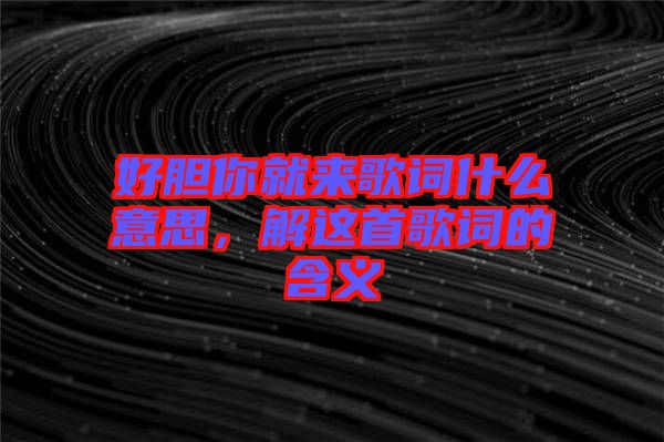 好膽你就來(lái)歌詞什么意思，解這首歌詞的含義