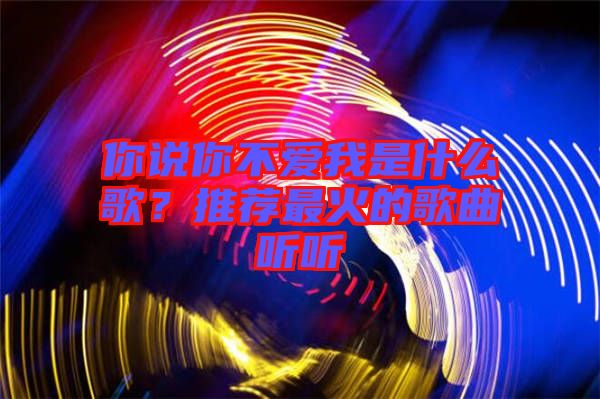 你說你不愛我是什么歌？推薦最火的歌曲聽聽