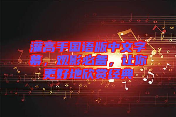 灌高手國語版中文字幕，觀影必備，讓你更好地欣賞經典