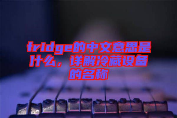 fridge的中文意思是什么，詳解冷藏設(shè)備的名稱