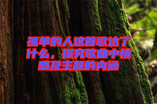 孤單的人這首歌達(dá)了什么，探究歌曲中情感及主題的內(nèi)涵