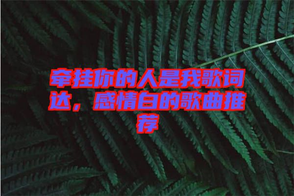 牽掛你的人是我歌詞達(dá)，感情白的歌曲推薦