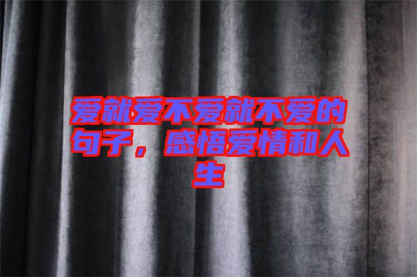 愛就愛不愛就不愛的句子，感悟愛情和人生