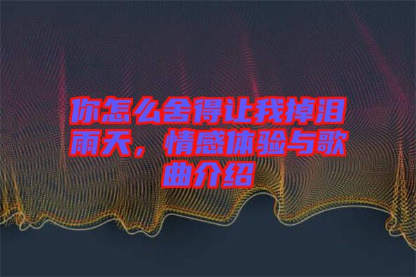 你怎么舍得讓我掉淚雨天，情感體驗(yàn)與歌曲介紹