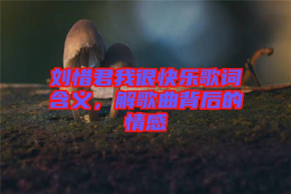 劉惜君我很快樂歌詞含義，解歌曲背后的情感