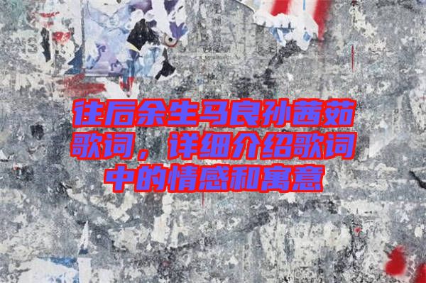 往后余生馬良孫茜茹歌詞，詳細(xì)介紹歌詞中的情感和寓意