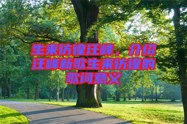 生來(lái)彷徨汪峰，介紹汪峰新歌生來(lái)彷徨的歌詞意義